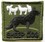 SheepDog ( ), AM123 -   Sheep Dog