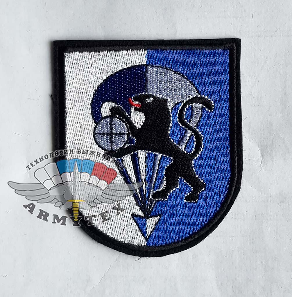 DSO, Fallschirmjagerbataillon 313  , (  ,   ) AR555 - DSO, Fallschirmjagerbataillon 313  , (  ,   ) AR555