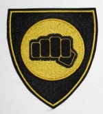  Imperial Fists,   , AR386 -   Imperial Fists