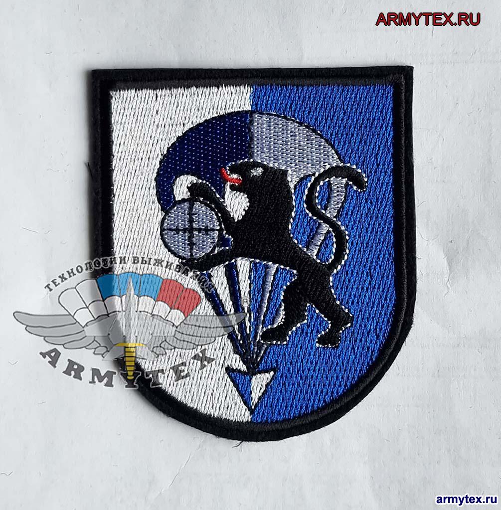 DSO, Fallschirmjagerbataillon 313  , (  ,   ) AR555,   ,  