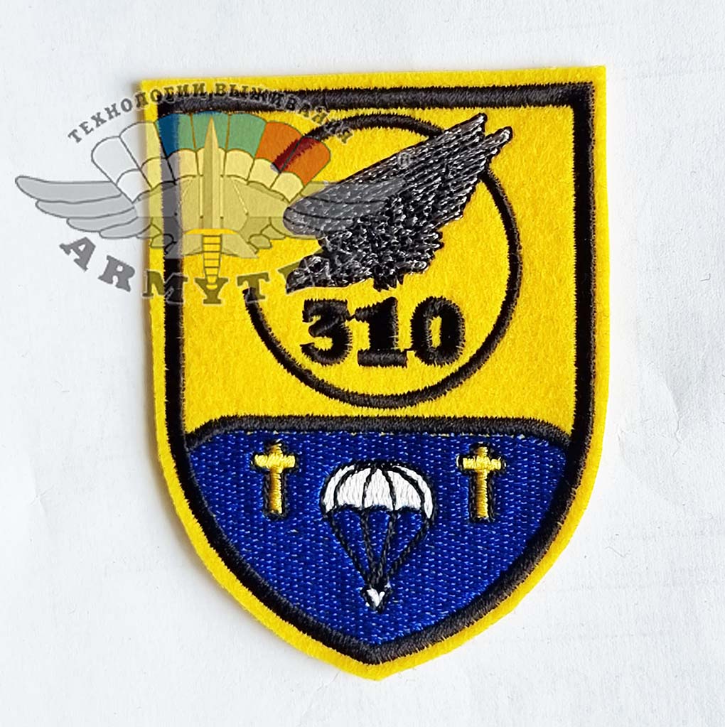 DSO, Luftlandeaufklangskompanie 310, ( 310), AR557 - DSO, Luftlandeaufklangskompanie 310, ( 310), AR557
