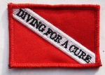 Diving for a cure,   50x70 , NF016 - Diving for a cure,   50x70 